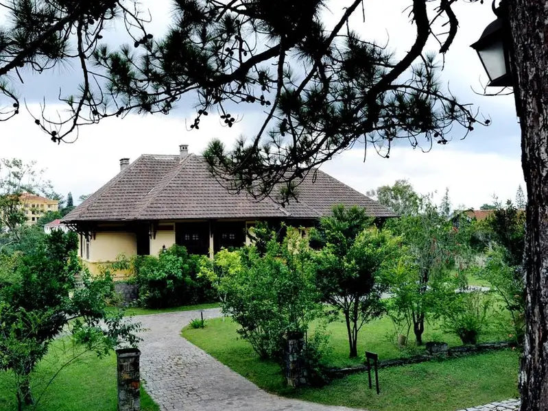 Đồi thông Tà Nung Đà Lạt