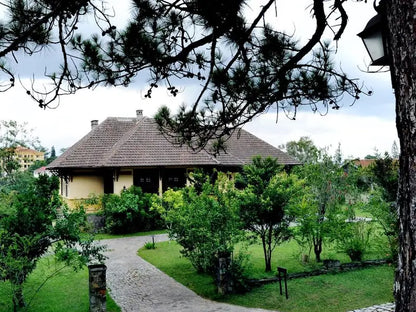 Đồi thông Tà Nung Đà Lạt