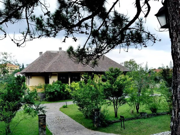 Đồi thông Tà Nung Đà Lạt