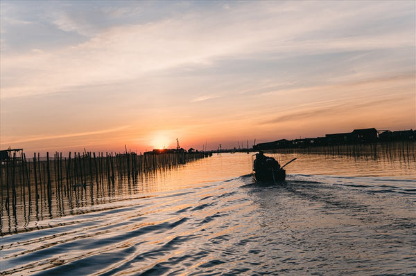 Đầm Chuồn Huế: Tuyệt Tác Hoàng Hôn Trên Hệ Đầm Phá Tam Giang