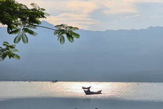 Kinh Tế &amp; Đặc Sản Hàu Lập An