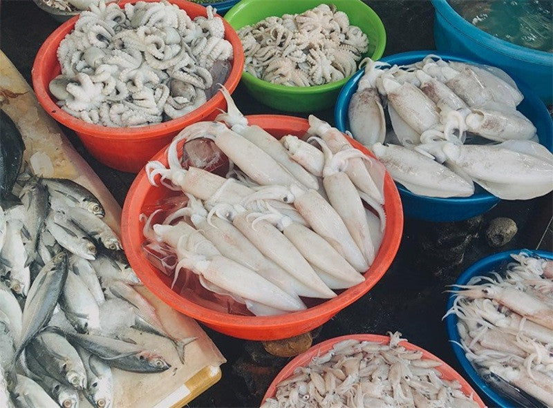 Khám Phá Cảnh Quan Sinh Thái Thiên Nhiên Độc Đáo Tại Đầm Nha Phu