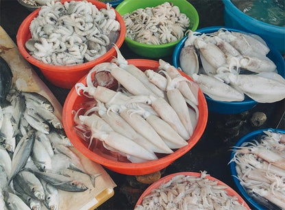 Khám Phá Cảnh Quan Sinh Thái Thiên Nhiên Độc Đáo Tại Đầm Nha Phu