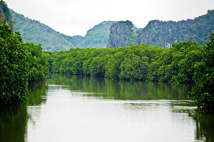 Những Trải Nghiệm Biển Đảo Không Thể Bỏ Sót Tại Vịnh Nha Phu