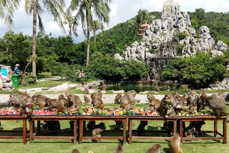Cập Nhật Bảng Giá Vé Tham Quan Và Chi Phí Dịch Vụ Tại Đầm Nha Phu&nbsp;