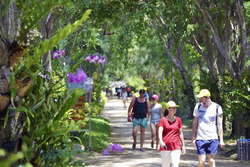 Những Trải Nghiệm Biển Đảo Không Thể Bỏ Sót Tại Vịnh Nha Phu