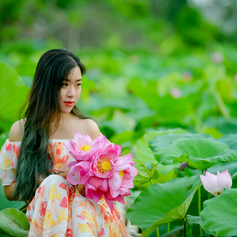 Đầm Sen Xuân Đỉnh