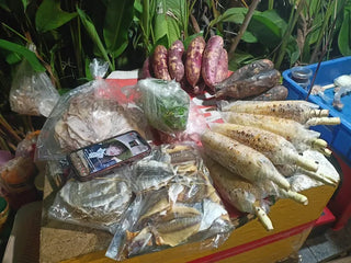 Bảng Giá Tham Khảo &amp; Lịch Hoạt Động (Cập nhật 2026)