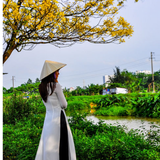 Đường Hoa Điệp