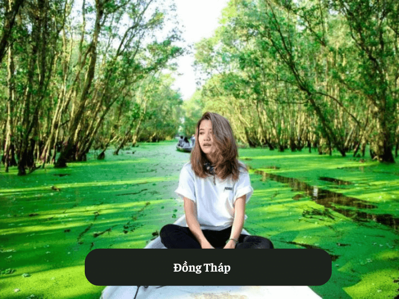 Đồng Tháp