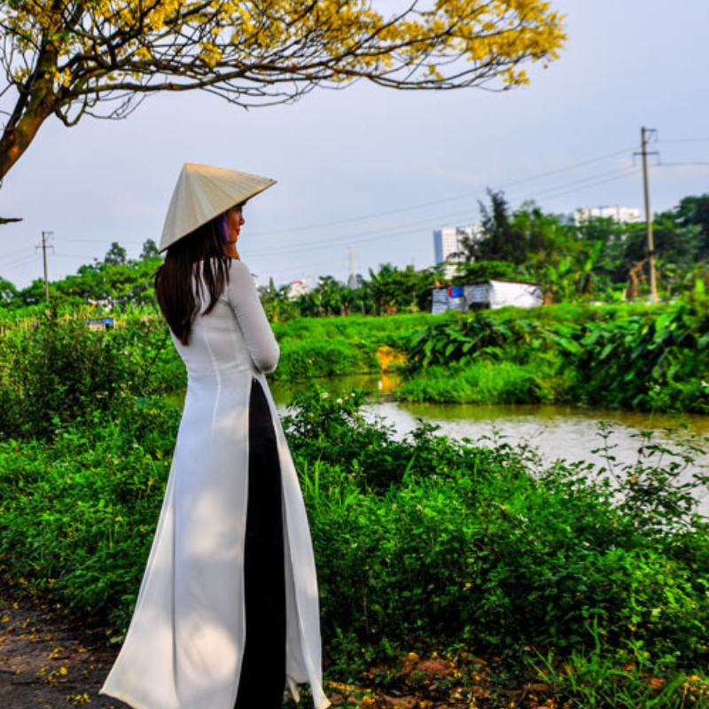 Đường Hoa Điệp