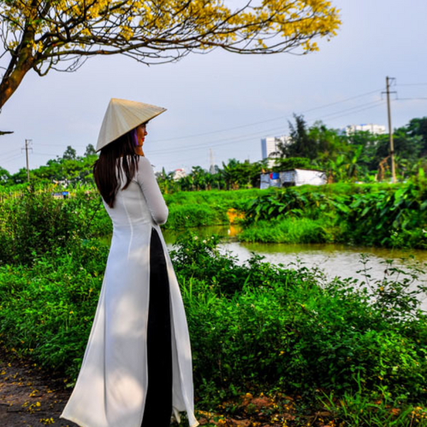 Đường Hoa Điệp