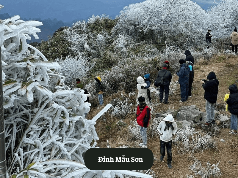 Đỉnh Mẫu Sơn
