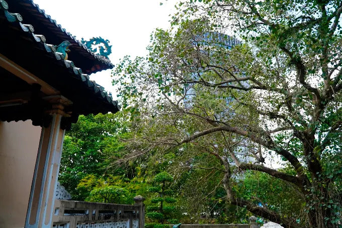 Hung Kings Temple (in Saigon Zoo and Botanical Garden)