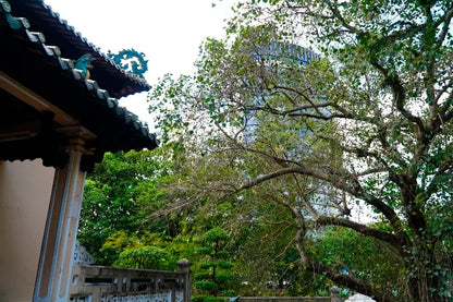 Hung Kings Temple (in Saigon Zoo and Botanical Garden)