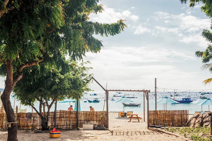 Có thể đặt dịch vụ hướng dẫn viên bản địa dẫn đoàn đi bắt nhum, câu mực không?
