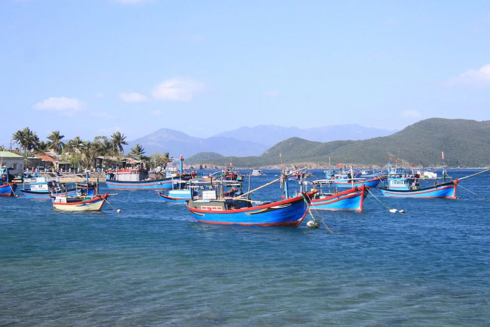 Vẻ Đẹp Kỳ Thú Của Con Đường Cát Giữa Biển Đảo Điệp Sơn
