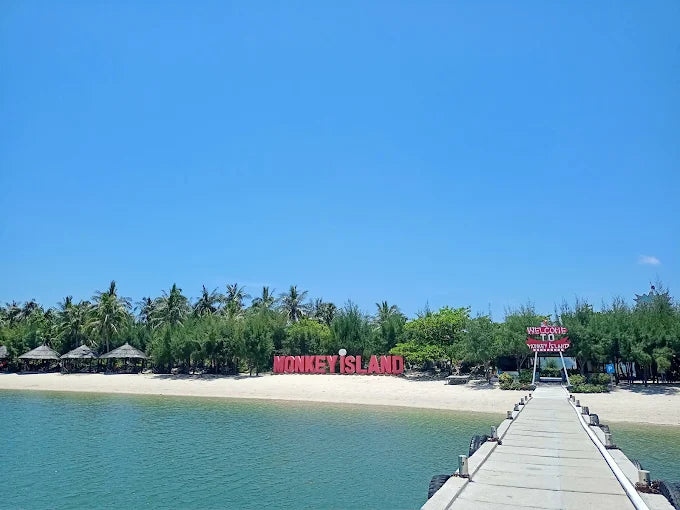 Nền tảng Localtrips.ORG có hỗ trợ thiết kế lịch trình riêng cho khách quốc tế không?