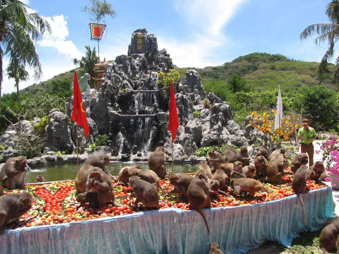 Monkey Island (Hon Lao) Nha Trang