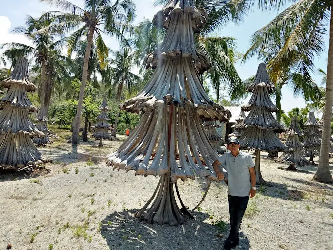 Các Phương Án Tổ Chức Hành Trình Phù Hợp Cho Mọi Nhu Cầu