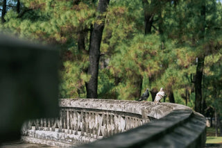 Hue Esplanade of Sacrifice to the Heaven and Earth