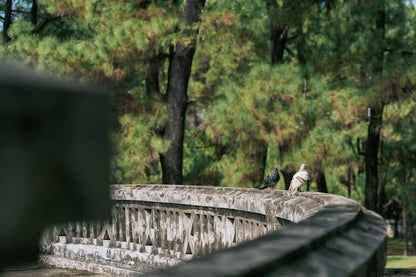 Hue Esplanade of Sacrifice to the Heaven and Earth