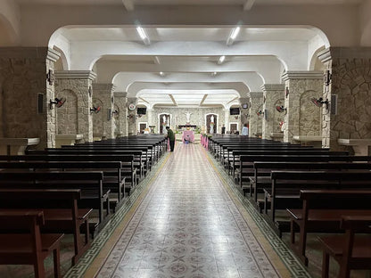 Đan Viện Thiên An: Tiếng Chuông Tĩnh Lặng Giữa Rừng Thông Đại Thụ