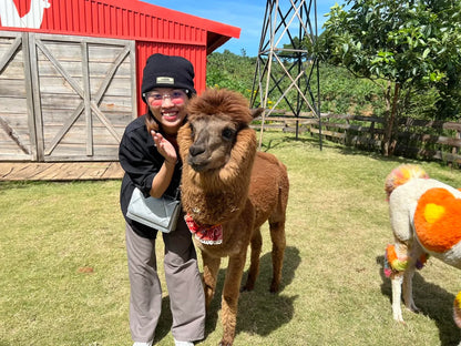 Dapa Hill Đà Lạt