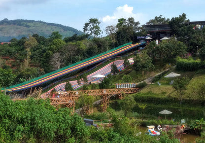 Khám Phá Dapa Hill Đà Lạt: Thiên Đường Sống Vảo Giữa Đèo Tà Nung
