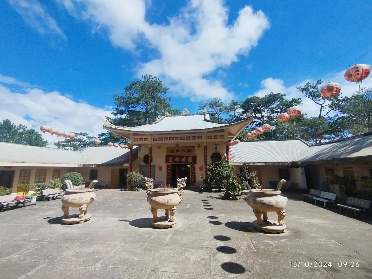 Đèo Mimosa Đà Lạt
