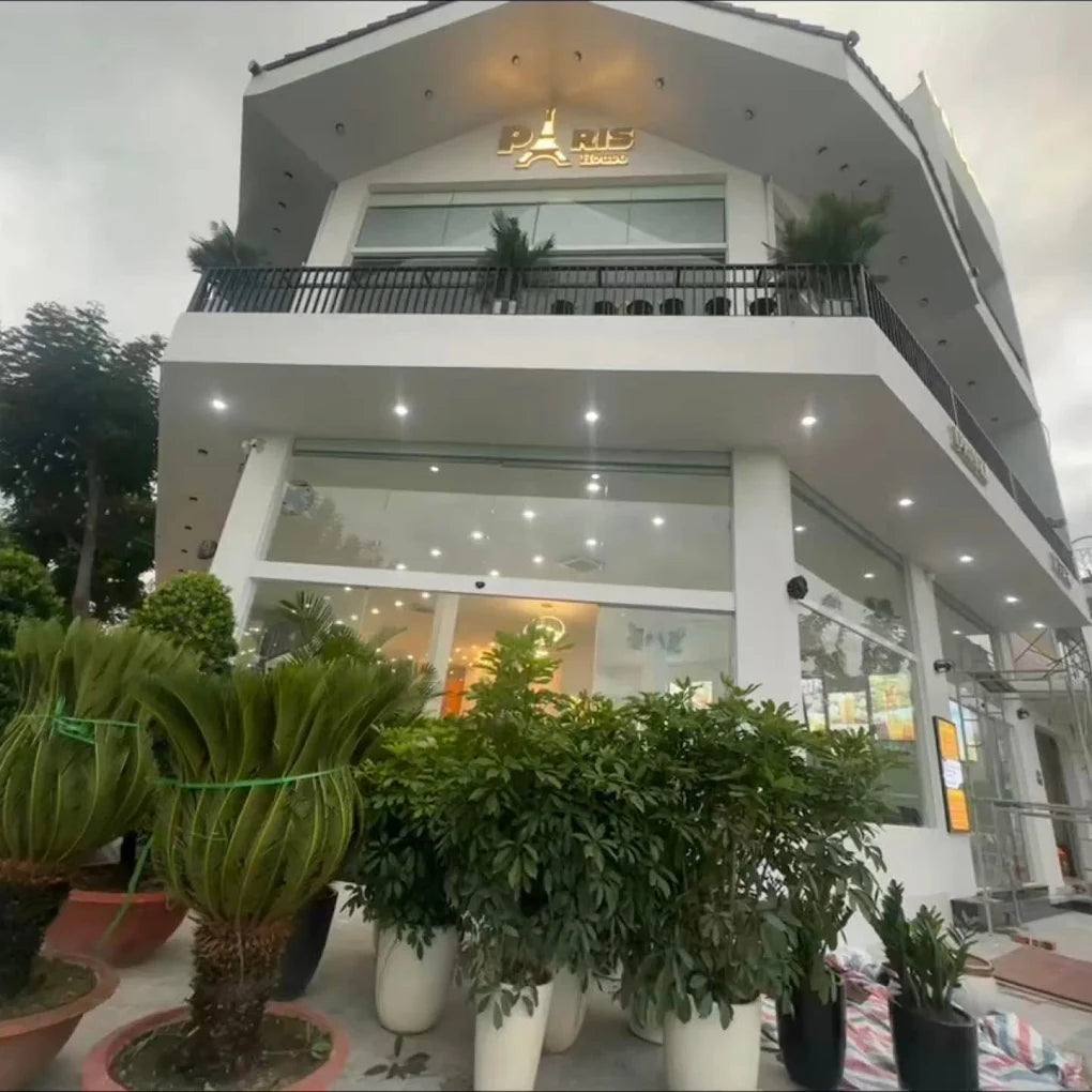 Những Câu Hỏi Thường Gặp Khi Khám Phá Đèo Mimosa