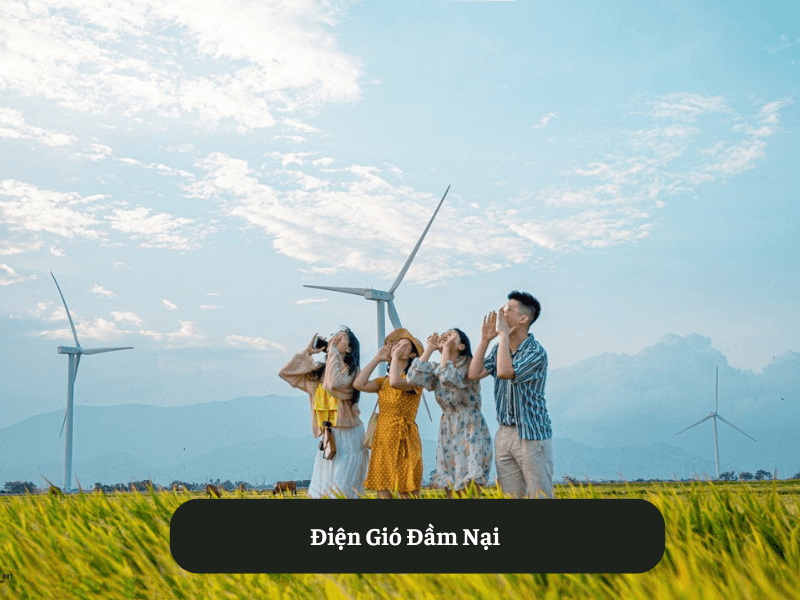  Điện Gió Đầm Nại