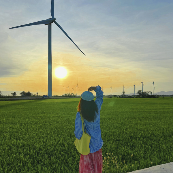 Điện Gió Đầm Nại