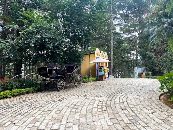 Dinh Bảo Đại I Đà Lạt