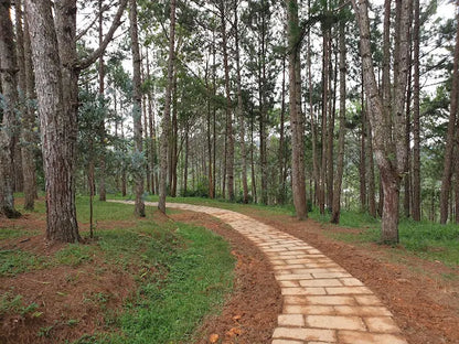 Dinh Bảo Đại I Đà Lạt