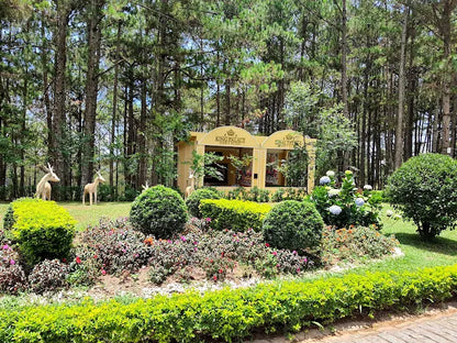 Dinh Bảo Đại I Đà Lạt