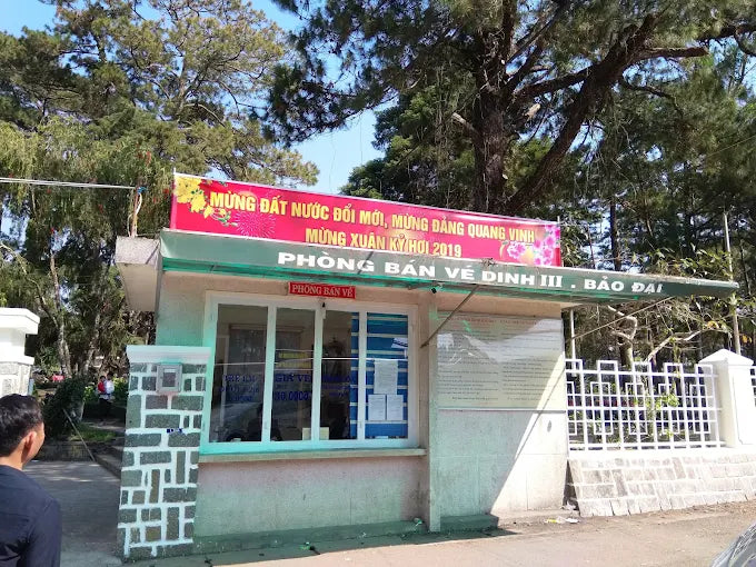 Khám Phá Dinh Bảo Đại III Đà Lạt: Biệt Điện Mùa Hè Uy Nghi Nhất Phố Núi
