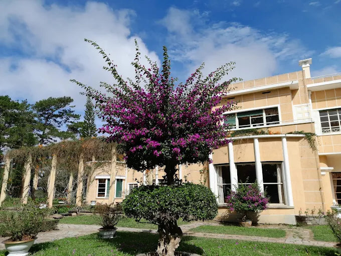 Dinh Bảo Đại II Đà Lạt