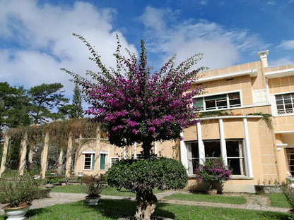 Dinh Bảo Đại II Đà Lạt