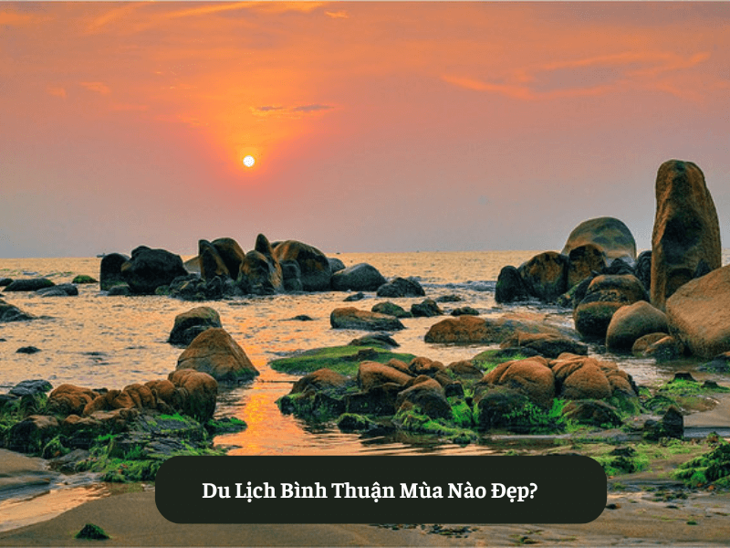 Du Lịch Bình Thuận Mùa Nào Đẹp?