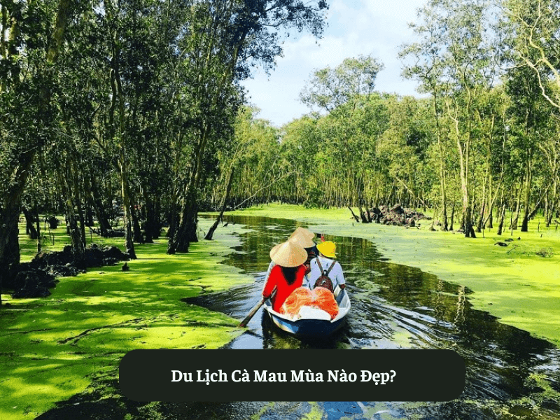 Du Lịch Cà Mau Mùa Nào Đẹp?