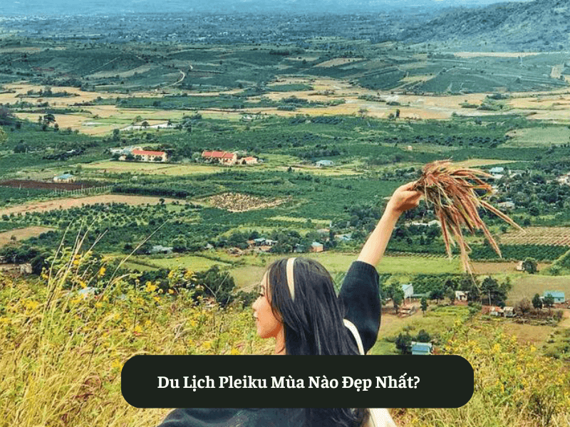 Du Lịch Pleiku Mùa Nào Đẹp Nhất?