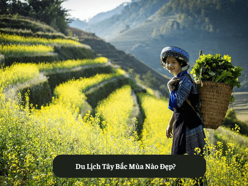 Du Lịch Tây Bắc Mùa Nào Đẹp?