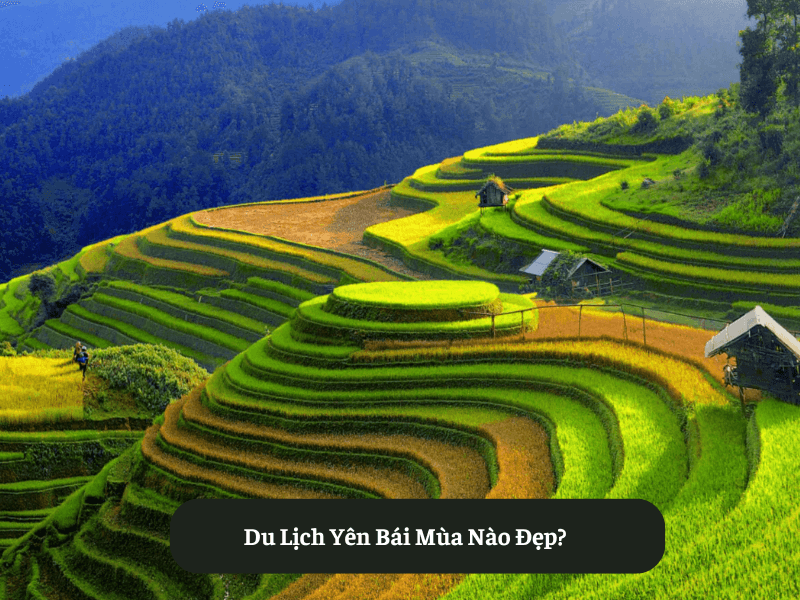 Du Lịch Yên Bái Mùa Nào Đẹp?