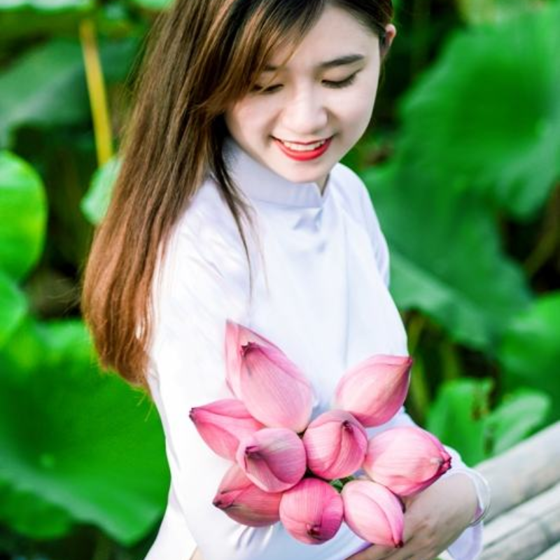 FAQ Về Đầm Sen Xuân Đỉnh