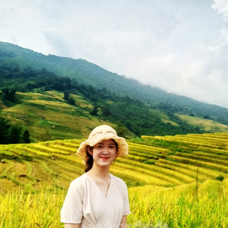 FAQ Về Ruộng Bậc Thang Hoàng Su Phì - Giải Đáp Thắc Mắc