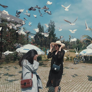 FAQ Về FLC Zoo Safari Park Quy Nhơn?
