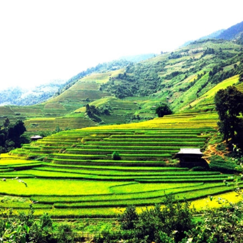 FAQ Về Suối Giàng?
