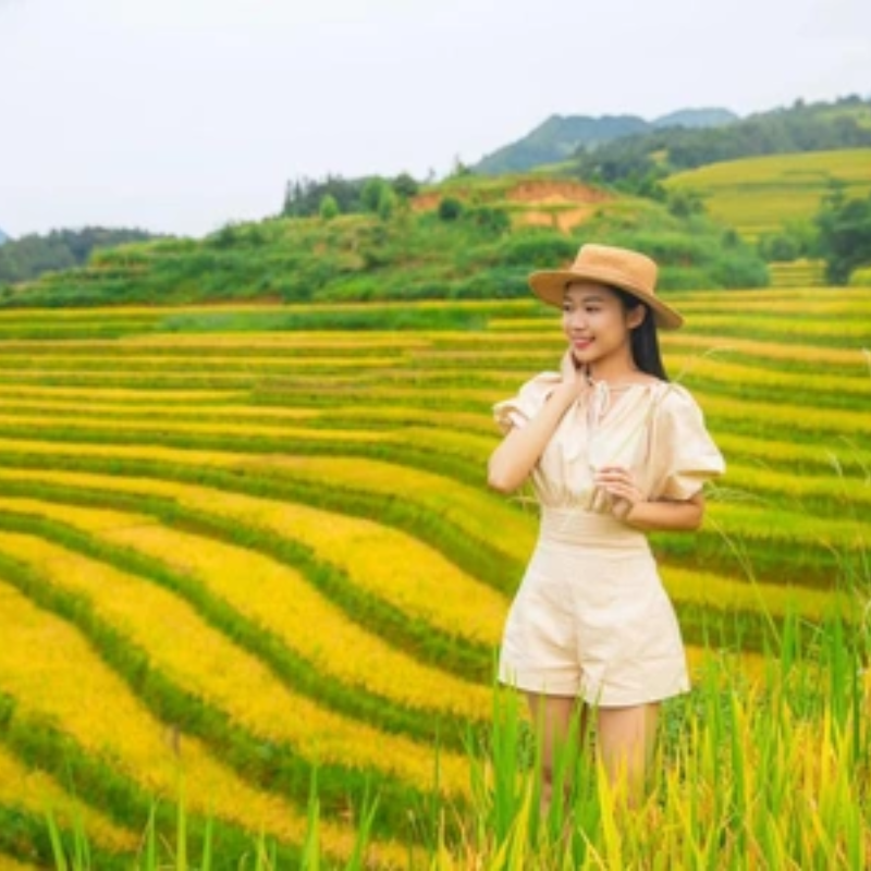 FAQ Về Ruộng bậc thang Hồng Thái?
