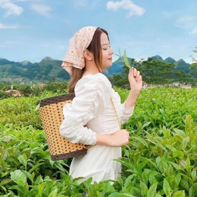 FAQ Về Đồi Chè Trái Tim Mộc Châu, Đồi Chè Trái Tim Mộc Châu Có Đẹp Không?